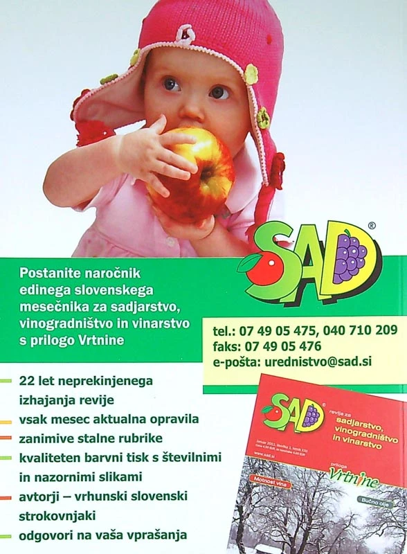 SADNI IZBOR ZA SLOVENIJO 2010, več avtorjev