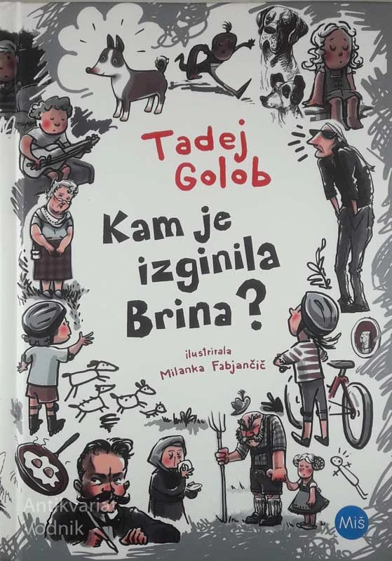 KAM JE IZGINILA BRINA?, Tadej Golob