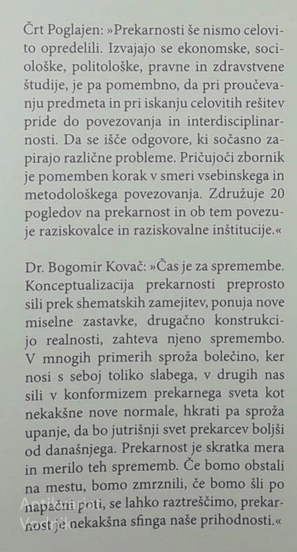 PREKARNOST IN DRUŽBENA NEGOTOVOST: INTERDISCIPLINARNI POGLEDI NA PREKARIAT