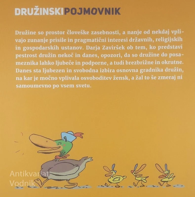 DRUŽINSKI POJMOVNIK ZA MLADE, Darja Zaviršek
