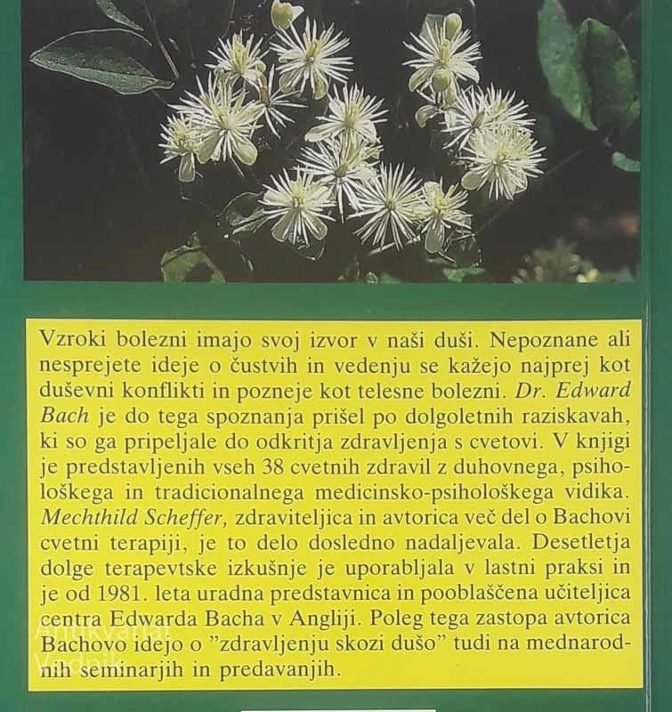 BACHOVA CVETNA ZDRAVILA, Mechthild Scheffer