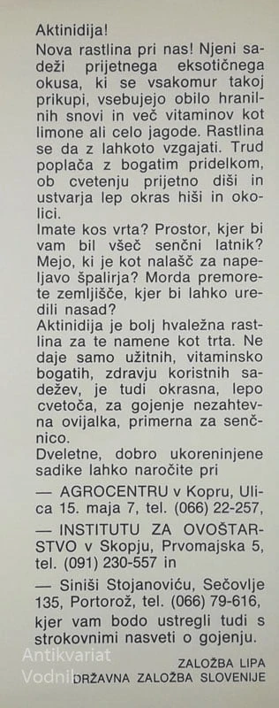 AKTINDIJA; SADEŽ VEČNE MLADOSTI, Vitjan Sancin