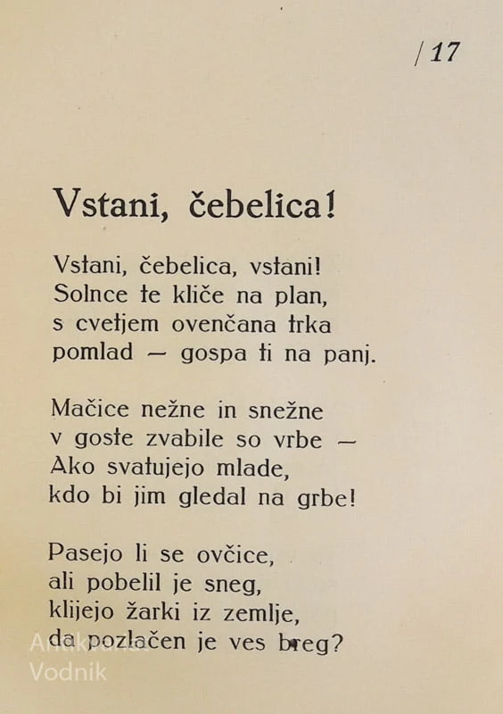 NJIVA ZORI, C. Golar