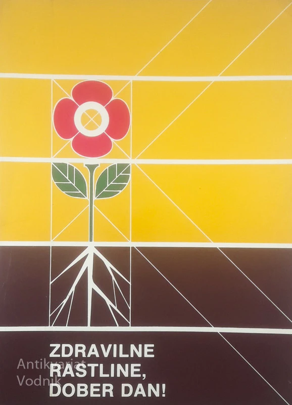 ZDRAVILNE RASTLINE, DOBER DAN!, več avtorjev