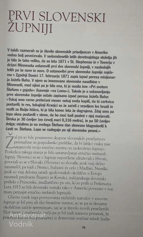 SVETILNIK SLOVENSTVA IN VERNOSTI V NEW YORKU, Matjaž Brojan