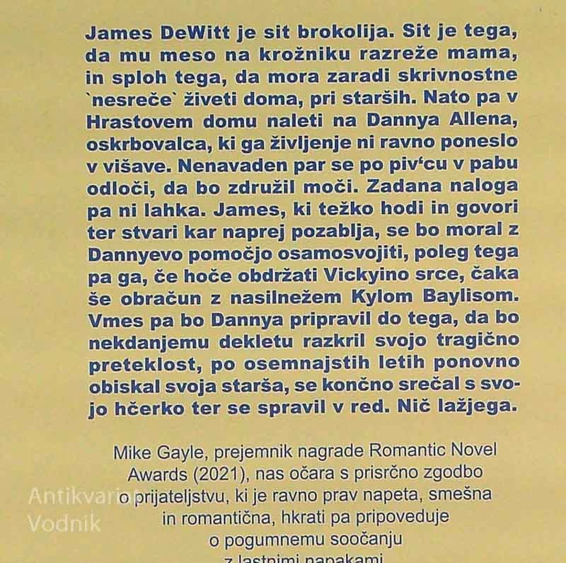 MISLIM, DA TE POZNAM, Mike Gayle