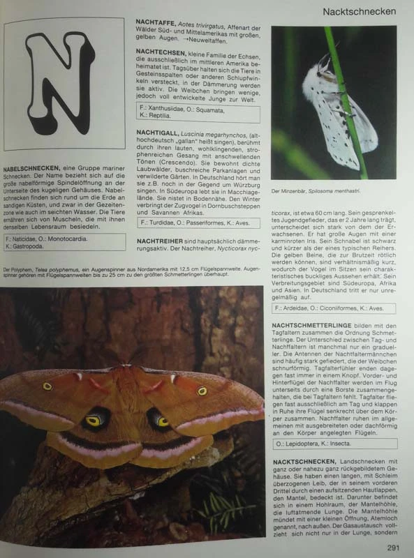 LEXIKON DER TIERE VON A-Z
