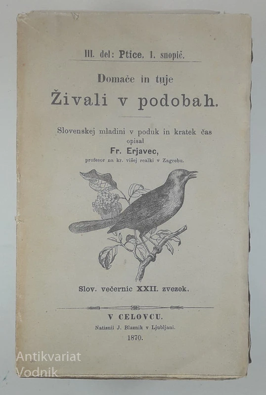 DOMAČE IN TUJE ŽIVALI V PODOBAH, Fr. Erjavec