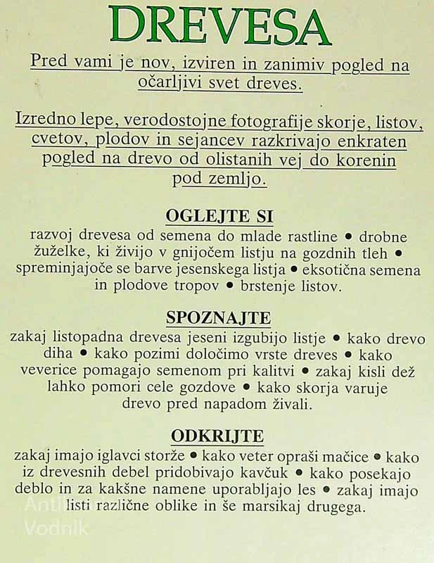 DREVESA, SVET OKROG NAS