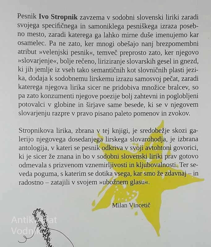 ŠIVALA JE ZVEZDA DEKLICO, Ivo Stropnik