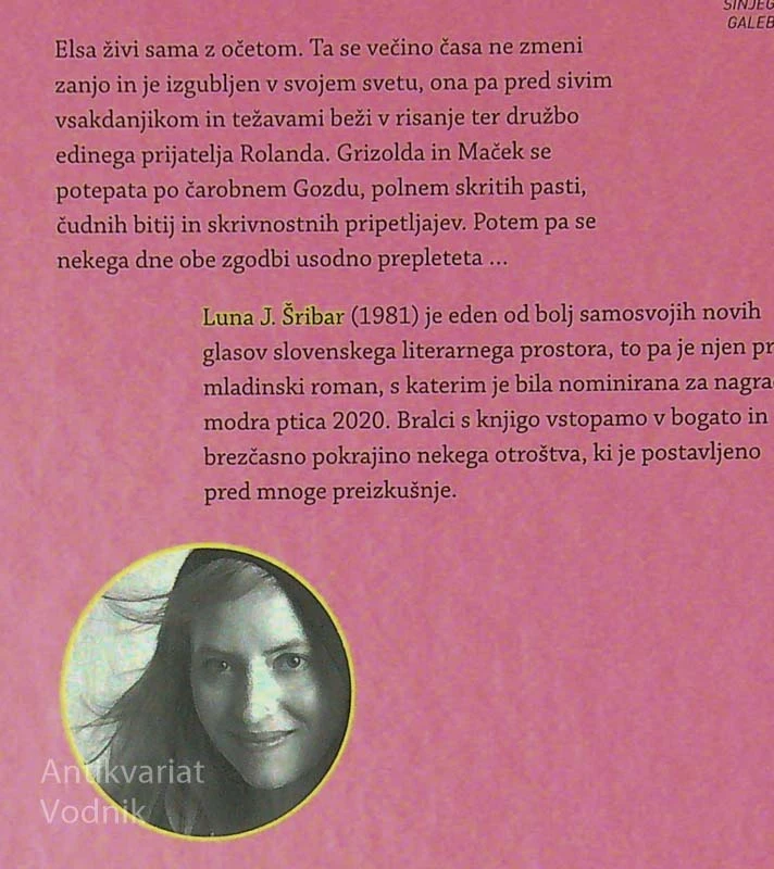 GRIZOLDA IN MAČEK, Luna J. Šribar