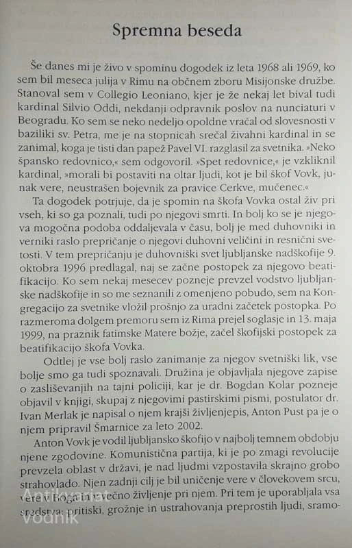 V SPOMIN IN OPOMIN, Anton Vovk