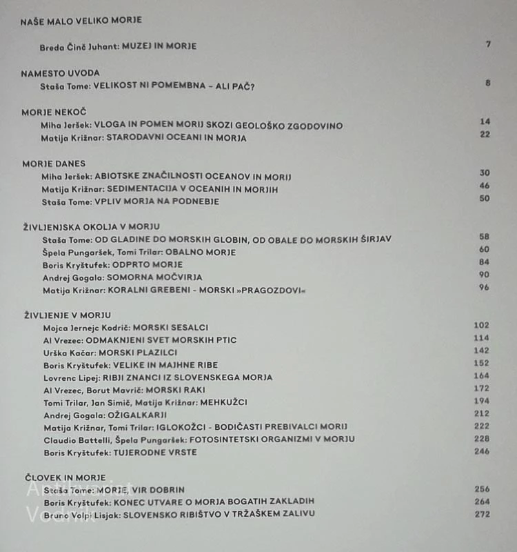NAŠE MALO VELIKO MORJE, Staša Tome