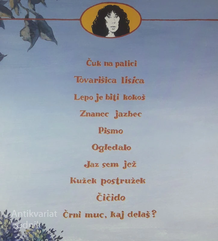 ČUK NA PALICI, Svetlana Makarovič