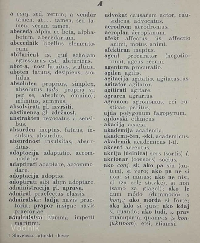 SLOVENSKO-LATINSKI SLOVAR, Fran Bradač