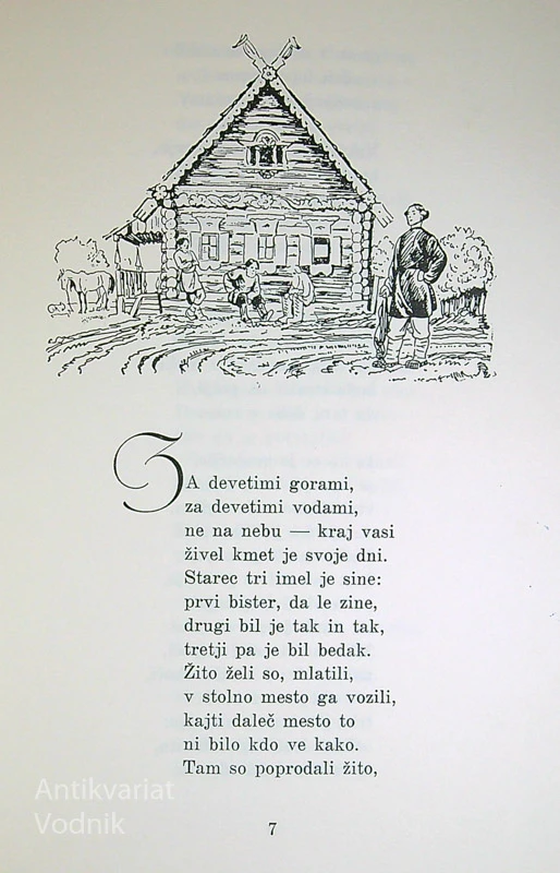 KONJIČEK GRBAVČEK, Jeršov