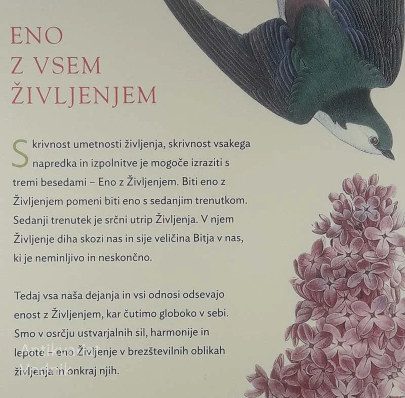 ENO Z VSEM ŽIVLJENJEM, Eckhart Tolle