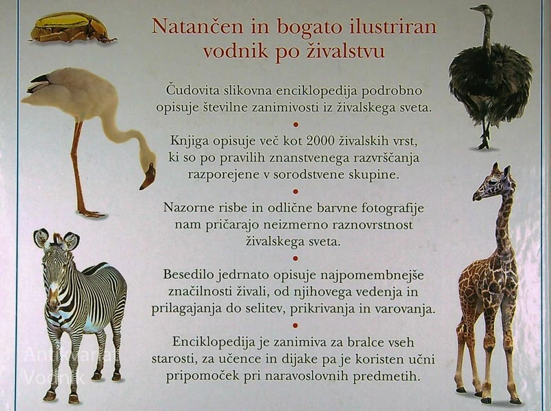 ENCIKLOPEDIJA ŽIVALI, Milan Lovka