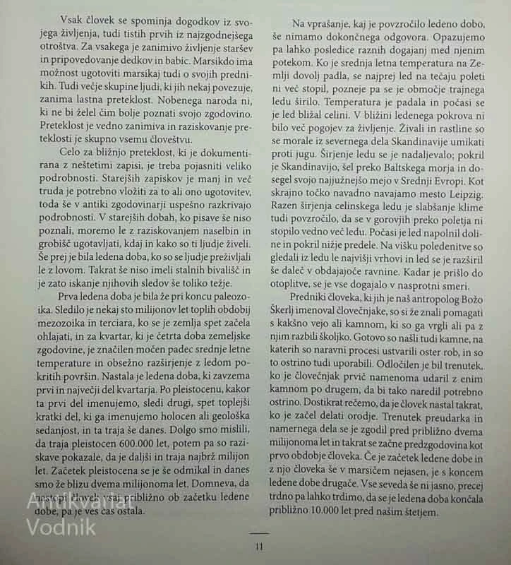 STARA KAMENA DOBA V SLOVENIJI, Mitja Brodar