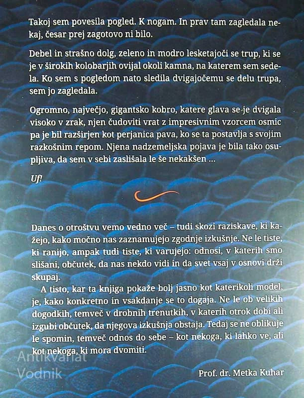 V OČEH KOBRE; PRIPOVED O OTROŠKI TRAVMI, DISOCIACIJI IN STIGMI, Nataša Zupanc