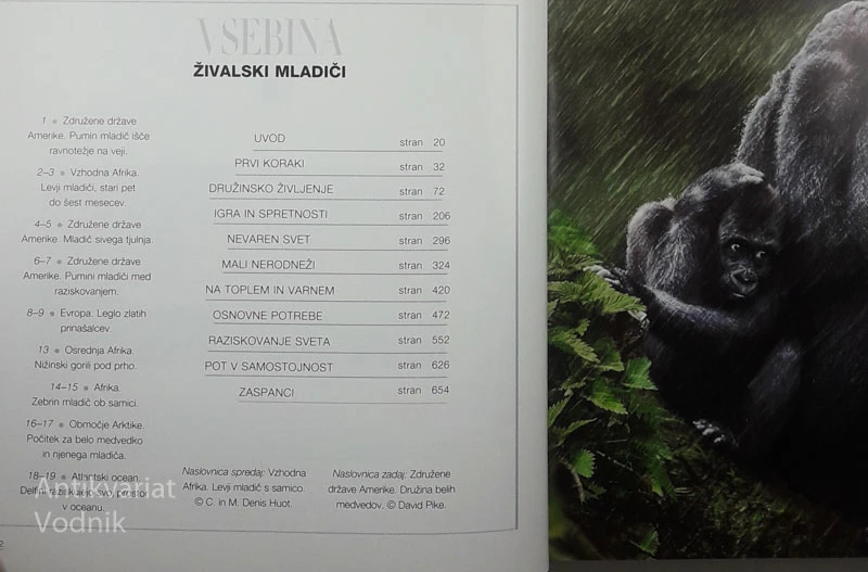ŽIVALSKI MLADIČI, Angela Serena Ildos
