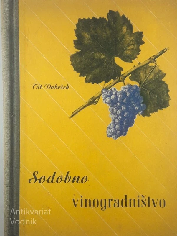 SODOBNO VINOGRADNIŠTVO, Tit Dobršek