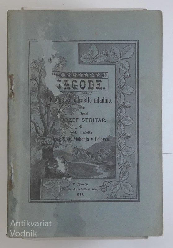 JAGODE, knjiga za odraslo mladino, spisal Jožef Stritar