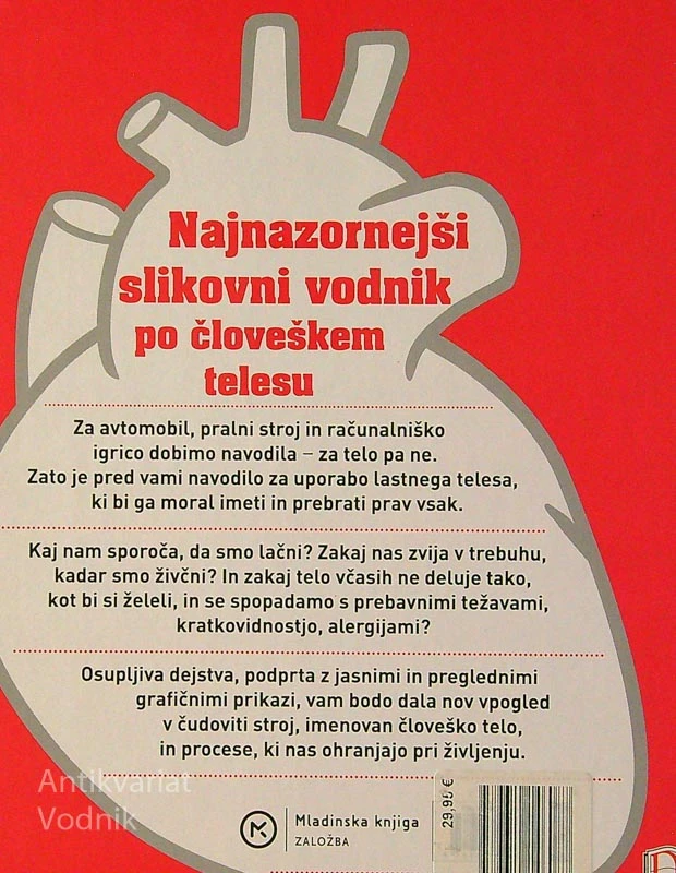KAKO DELUJE TELO