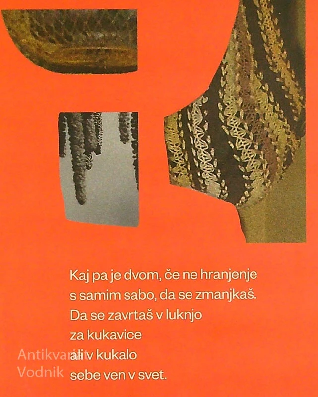 VAJE PO VEJO, Tanja Božić