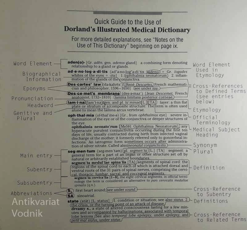 DORLAND’S ILLUSTRATED MEDICAL DICTIONARY