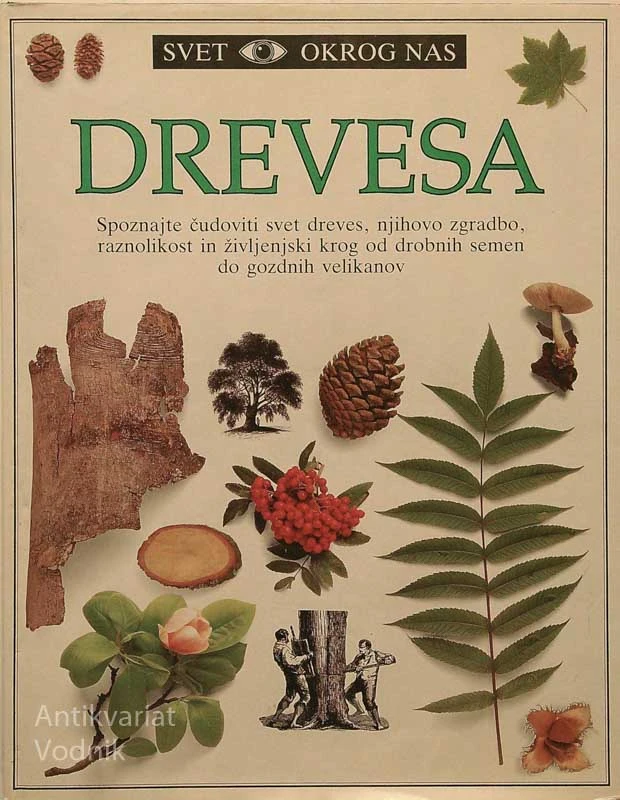 DREVESA, David Burnie