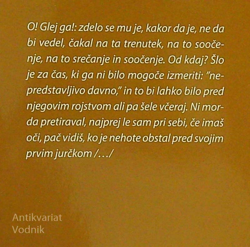 POSKUS O NOREM GOBARJU; ZGODBA ZASE, Peter Handke