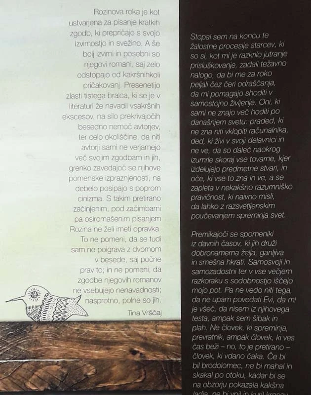 ŠTIRJE V VRSTI, Roman Rozina