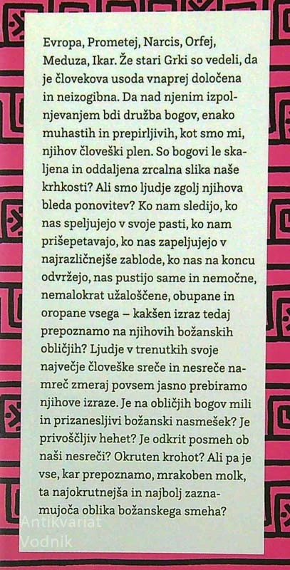 BOGOVI SE NAM SMEJIJO, Aleš Šteger