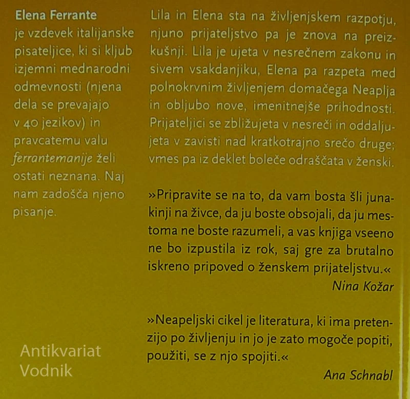 O NOVEM PRIIMKU, Elena Ferrante (Neapeljski cikel 2. knjiga)