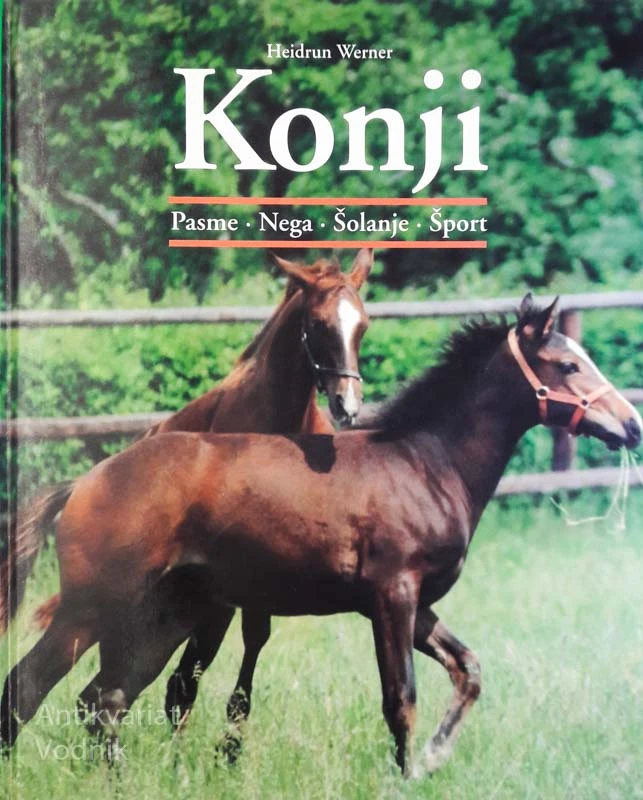 KONJI: pasme, nega, šolanje, šport, H. Werner