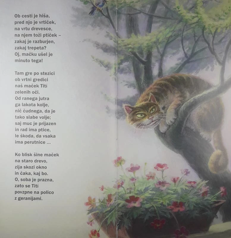 MAČEK TITÍ, Svetlana Makarovič (ilustriral Zvonko Čoh)