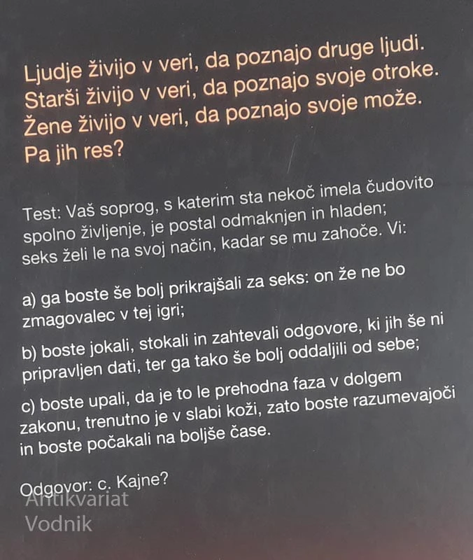 NI JE VEČ, Gillian Flynn