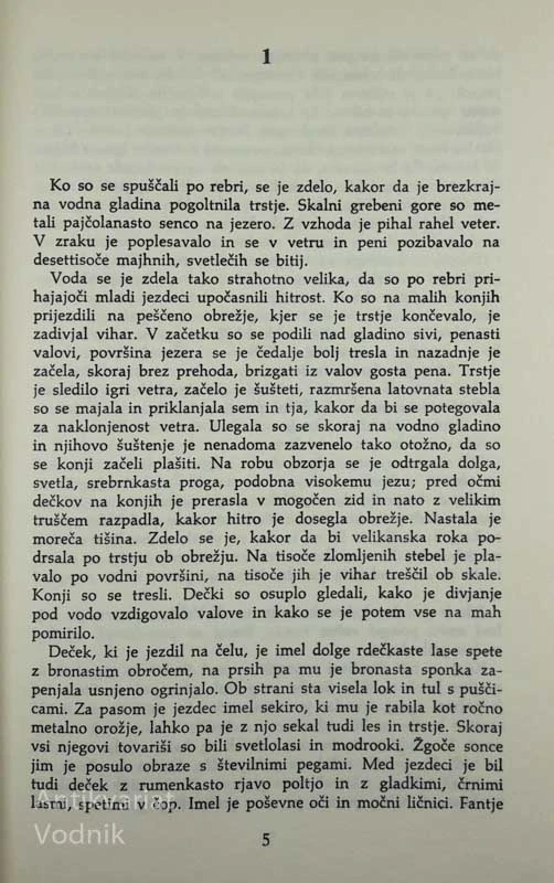 TEODORIK VELIKI: RIM JE BIL POKOPAN V RAVENI
