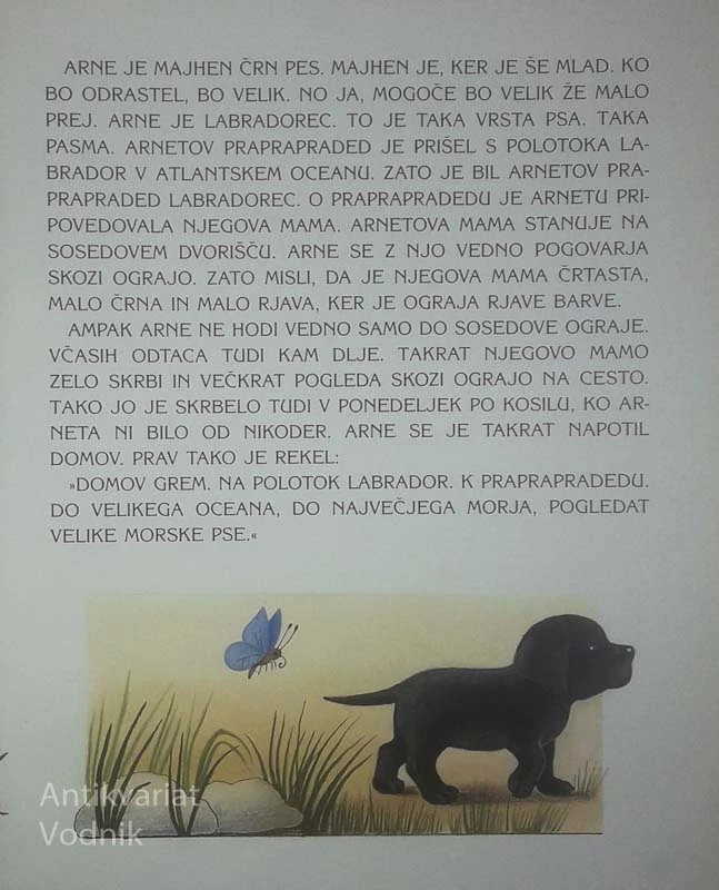 ARNE NA POTEPU, Marjeta Novak (ilustrirala Jelka Reichman)