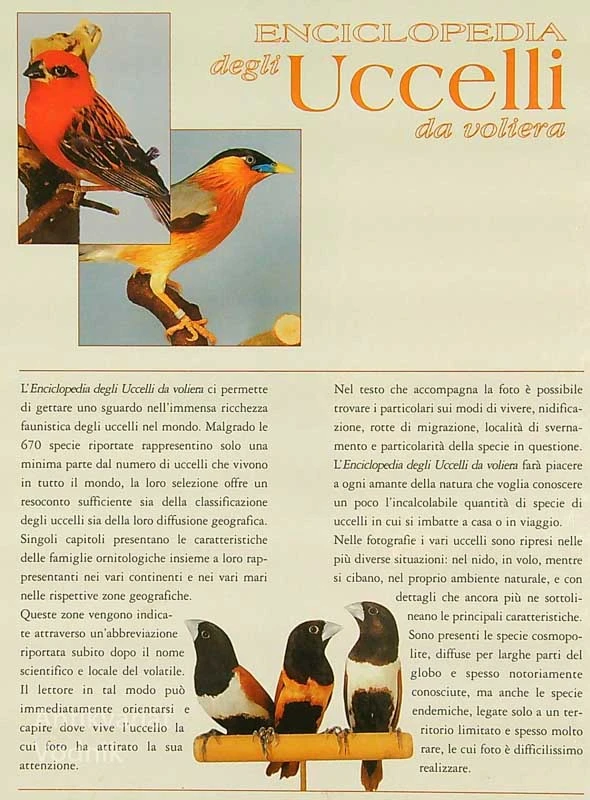 ENCICLOPEDIA DEGLI UCCELLI DA VOLIERA, E. J.J. Verhoef – Verhallen