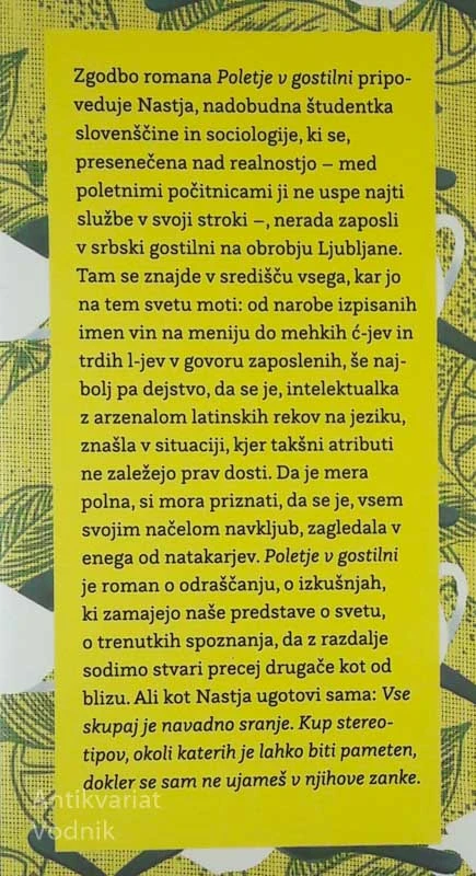 POLETJE V GOSTILNI, Lara Paukovič