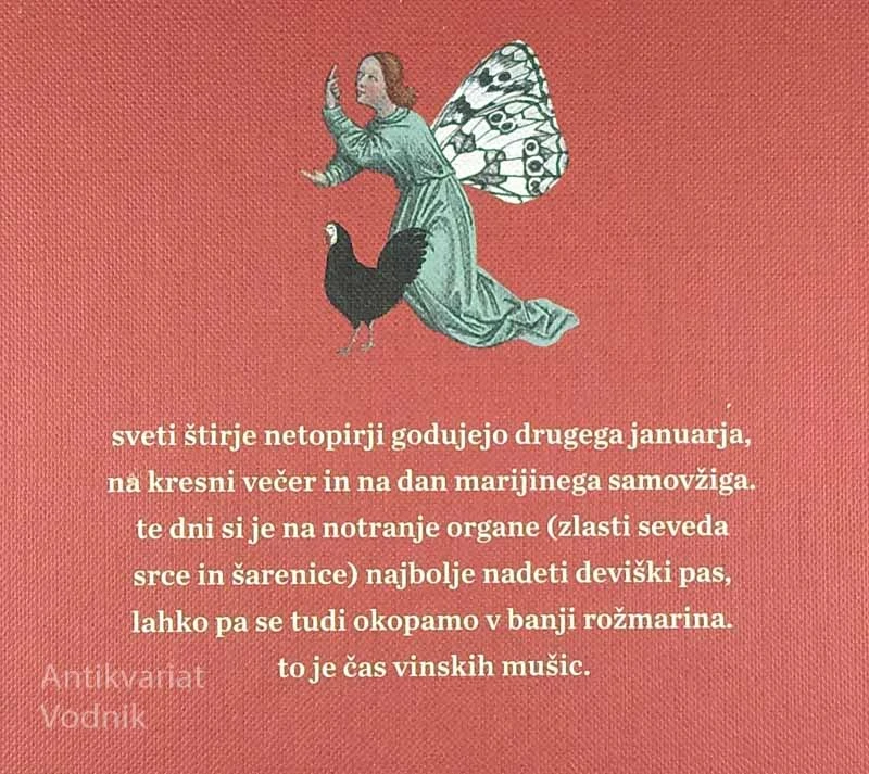 VINJETE STRAHOLJUBCA, Eva Mahkovic & Eva Mlinar