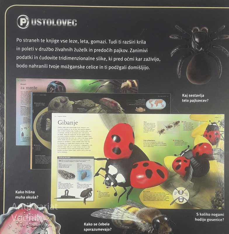 ŽUŽELKE IN PAJKI