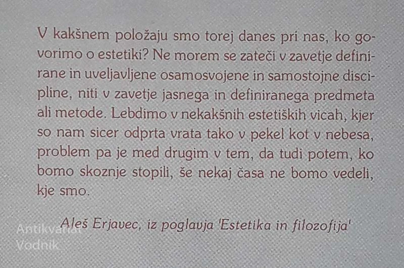ESTETIKA IN KRITIČNA TEORIJA, Aleš Erjavec
