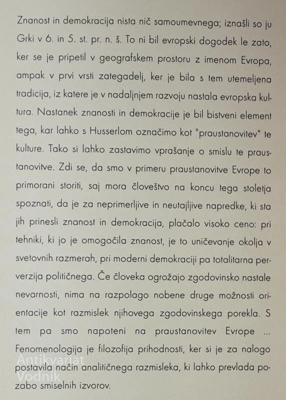 Klaus Held, FENOMENOLOŠKI SPISI