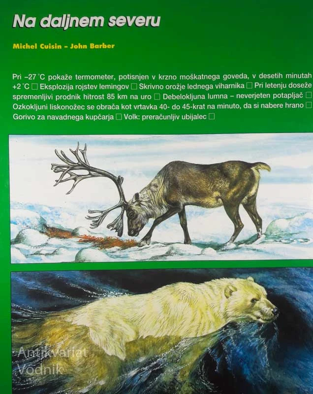 SKRIVNOSTNO ŽIVLJENJE ŽIVALI NA DALJNEM SEVERU