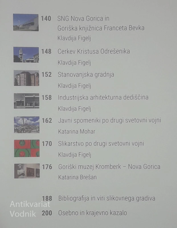 UMETNOST NA STIČIŠČU KULTURE, več avtorjev