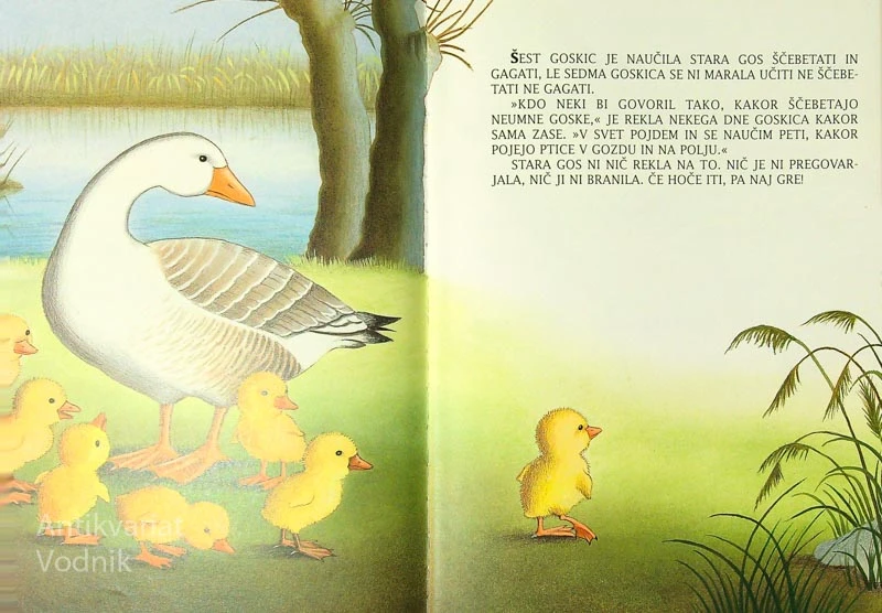 O GOSKICI, KI SE JE UČILA PETI, Karel Hroch (ilustrirala Jelka Reichman)
