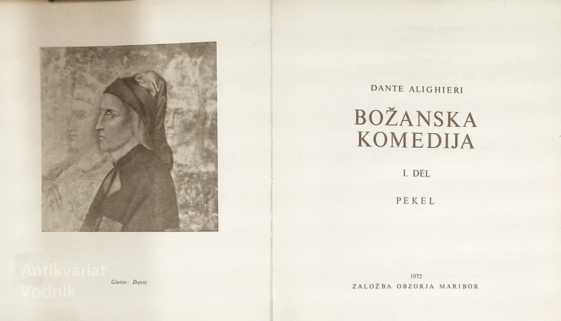 BOŽANSKA KOMEDIJA; RAJ, VICE, PEKEL, Dante Alighieri